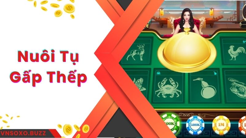 Nuôi tụ kiểu gấp thếp