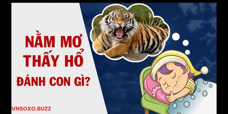 Mộng thấy hổ vàng chốt con gì trúng số?