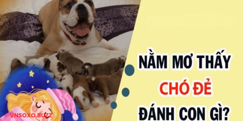 Nằm mơ thấy chó đánh số mấy trong trường hợp đẻ con