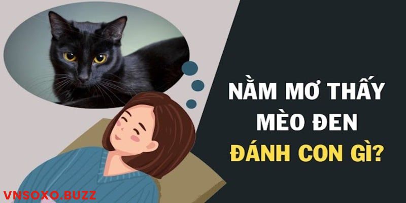 Nằm mơ thấy mèo đánh số mấy chuẩn khi là mèo đen