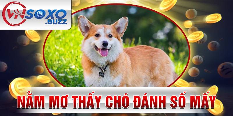 Nằm mơ thấy Chó đánh số mấy