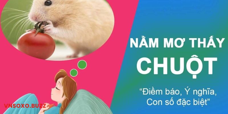 Nằm mơ thấy chuột đánh số mấy?