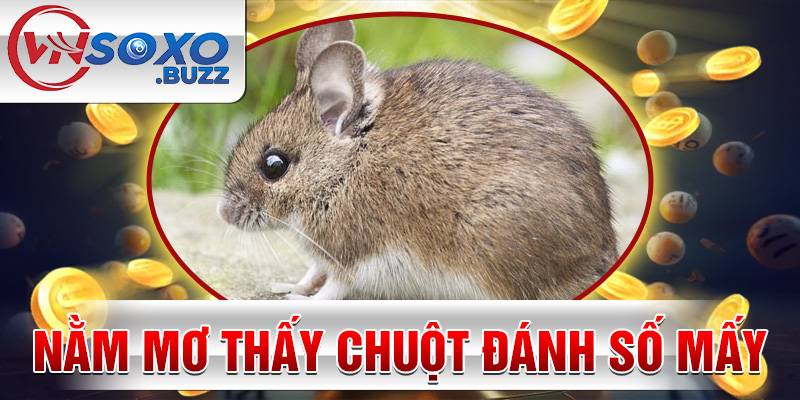 Nằm mơ thấy Chuột đánh số mấy