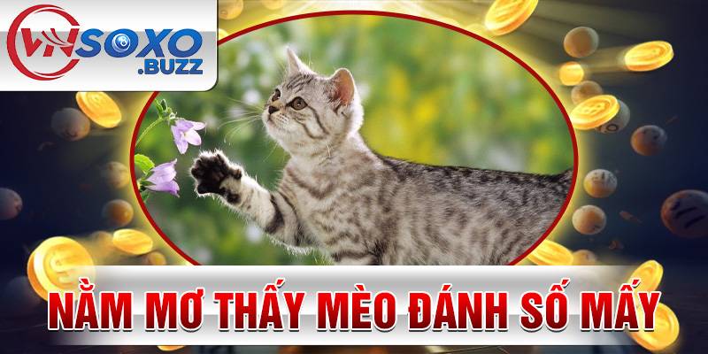 Nằm mơ thấy Mèo đánh số mấy