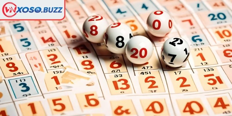 Đề 3 càng VNSOXO là gì?
