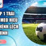 kèo chấp 1 trái VNSOXO