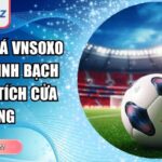 kèo châu Á VNSOXO