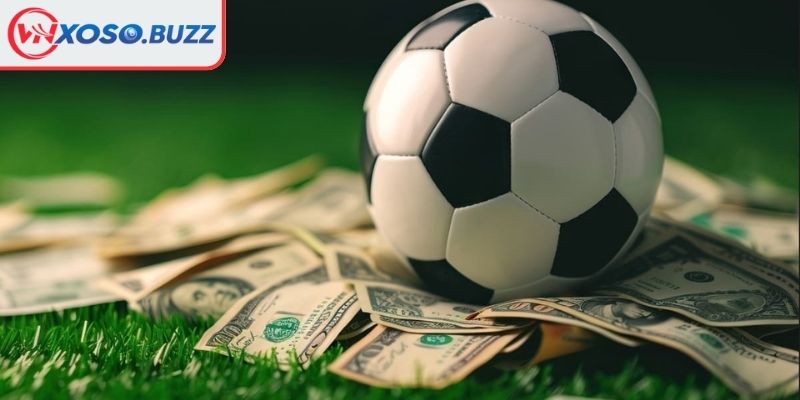 Kèo Châu Á VNSOXO – Tỷ Lệ Minh Bạch Dễ Phân Tích Cửa Sáng 3 Bí quyết đặt vốn hiệu quả cần biết cho tân thủ