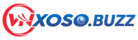 Logo VnXoso