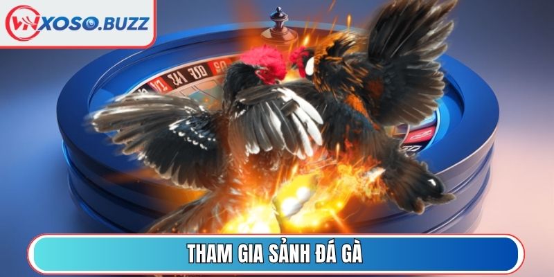 Tham gia sảnh Đá Gà